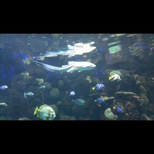 Meet your Posher, Evan